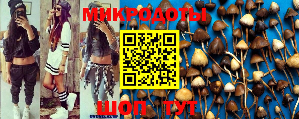 Галлюциногенные грибы Psilocybine cubensis Сорочинск
