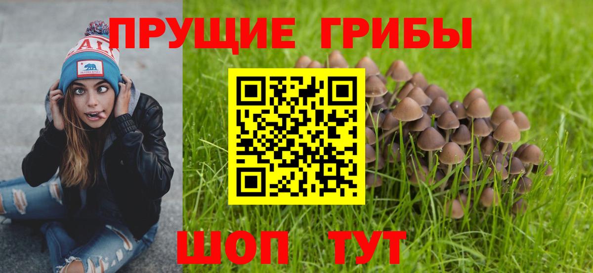 Галлюциногенные грибы прущие грибы  Псилоцибиновые грибы MAGIC MUSHROOMS  Вход с VPN  Сорочинск 